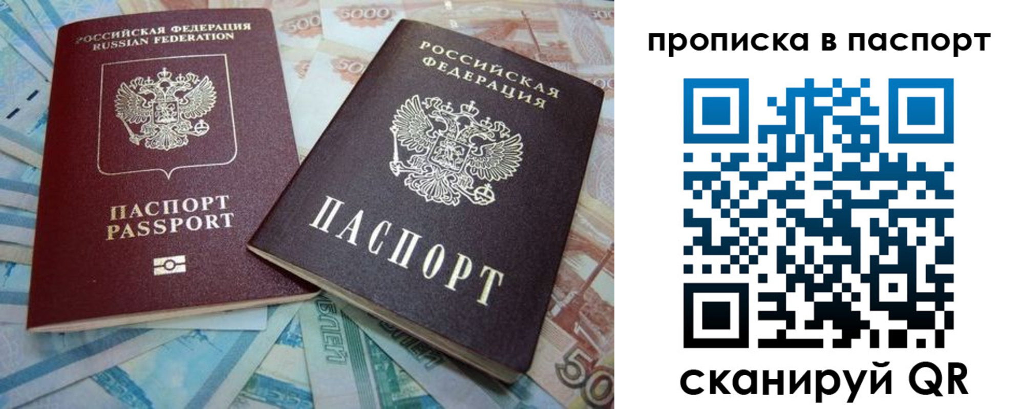 прописка поиск в Амурской области